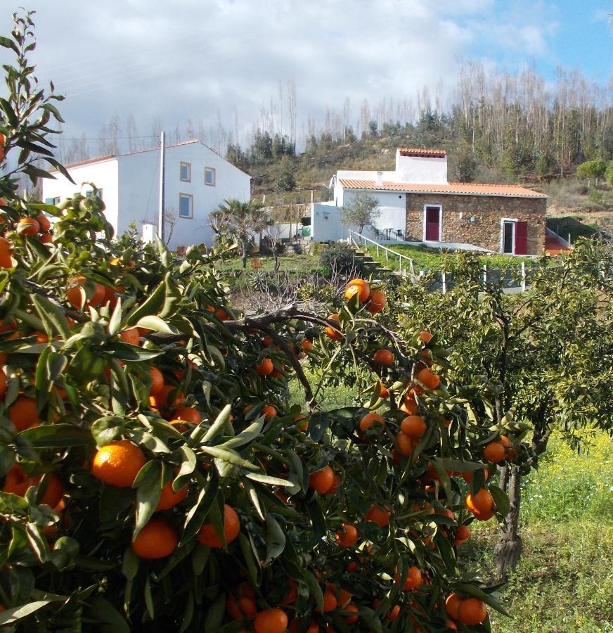Envendos Casas De Campo De Vale De Junco מראה חיצוני תמונה