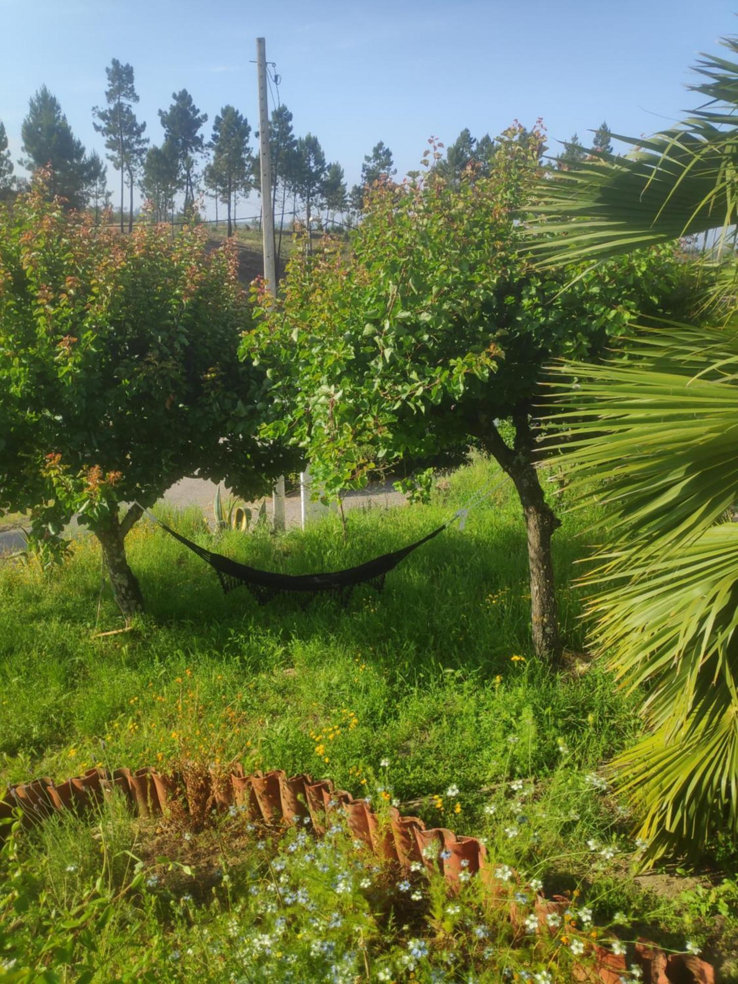 Envendos Casas De Campo De Vale De Junco מראה חיצוני תמונה